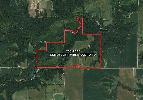 253 Acre Schuyler Timber and Farm Land